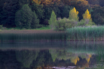 beautiful natural landscape