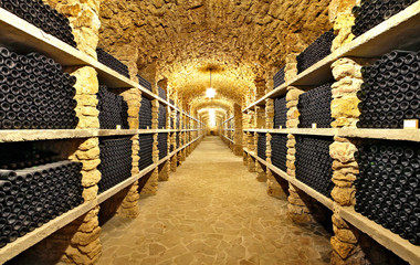 The ancient bottles of wine in the ancient cellar