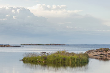 Coastal scene during afternoon with grass and rocks