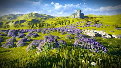 Fototapeta na wymiar Lavender fields 