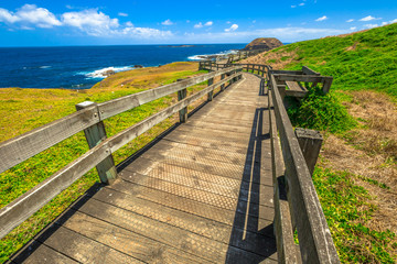 The Nobbies Phillip Island