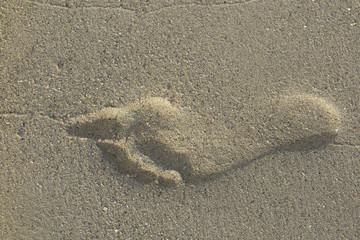 Fototapeta na wymiar Footprints on the sand