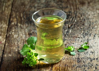 Herbal tea with oregano, selective focus