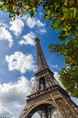 Fototapeta na wymiar Eiffel Tower through the trees