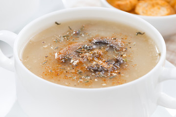mushroom soup puree, close-up