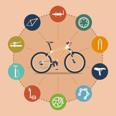 bike infographic