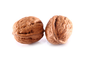 Walnuts isolated on the white background