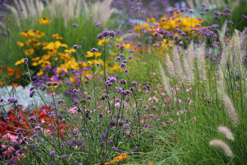 gelbe Blüten