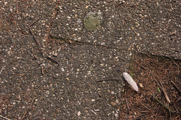 Brown concrete tiles