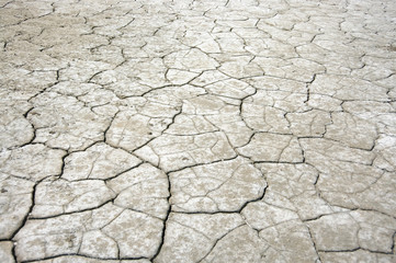 Desert land