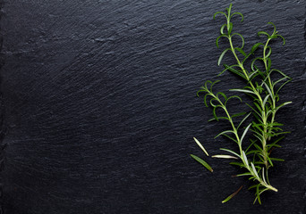 Rosemary herb on stone table