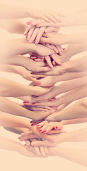 People's hands on light background
