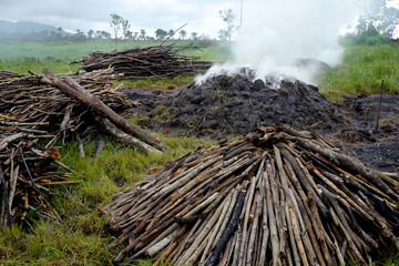 wood being burned to make charcoal in rural africa