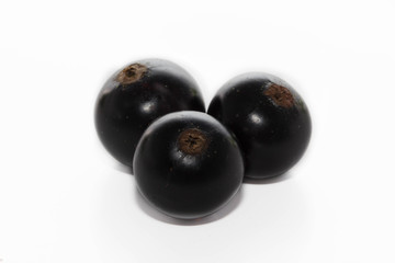 Black currants isolated