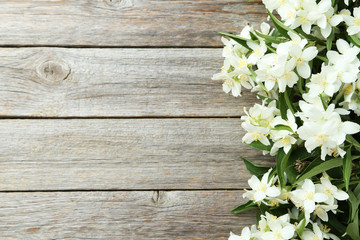 White flowers of jasmine on grey wooden background