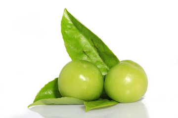 Ome on White Background