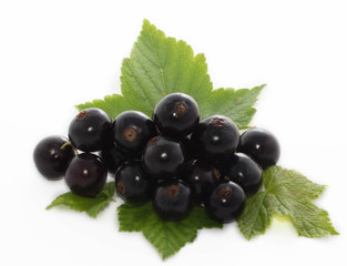 black currant
