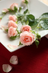 Tableware with flowers on table close up