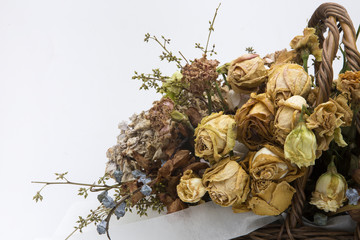Beautiful dried flowers