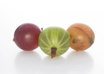 red and green gooseberries isolated