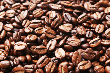 Closeup of coffee beans