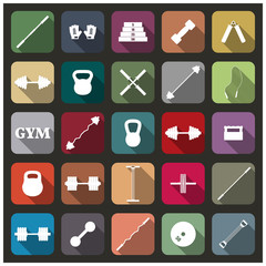Icons equipment for the gym, vector illustration