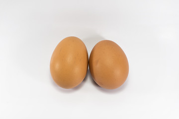Egg isolated