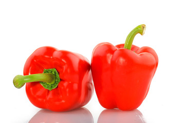 Red Paprika on white Background