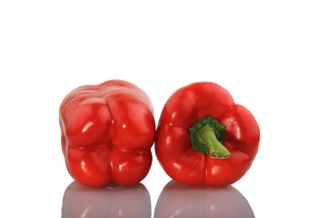 Red Paprika on white Background