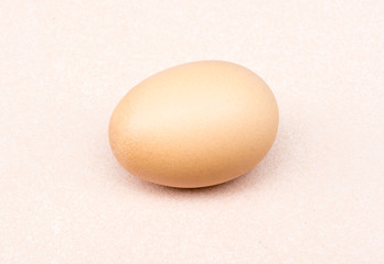 Single brown chicken egg
