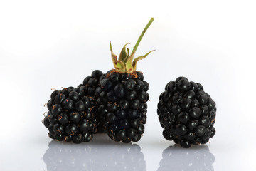 Blackberry fruit on white Background