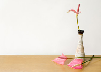 Anthurium flower  vase on the table
