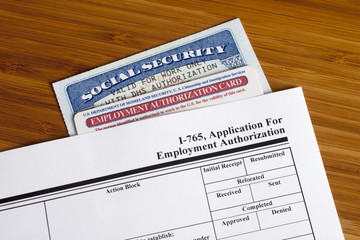 Application for Employment - 87935859