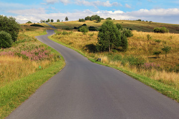 Fototapeta na wymiar picturesque country road