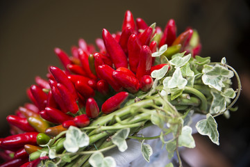 chilli bouquet with ivy