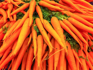 Pile of fresh carrots for sale at the farmers market in the summer.