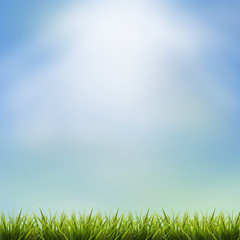 Naklejka na ściany i meble Grass grass under blue sky and clouds