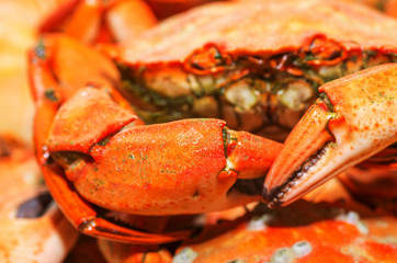 Plate of red boiled crabs Mediterranean. Part of the crab close-