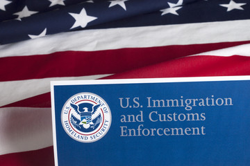 US Customs and Border Enforcement - 87937444