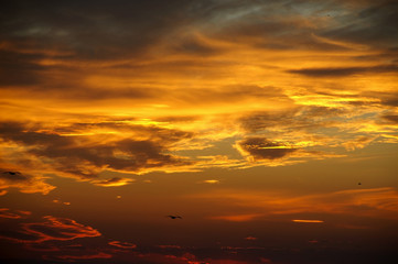 Sunset sky with clouds