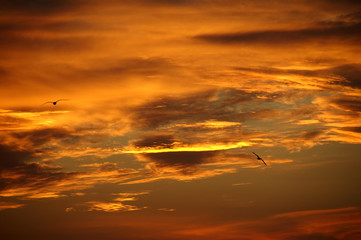 Sunset sky with clouds
