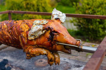 Spanferkel Grillen Feuer Schwein 