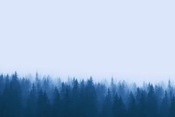 Gordijnen Landschap in blauwe tinten - dennenbos in bergen met mist © Sensay