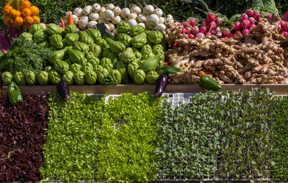 Banca de verduras e legumes