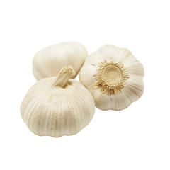 garlic  isolated on white