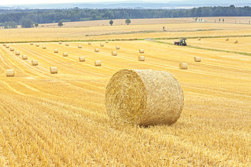 Harvesting background, hay bales and tractor in distance.