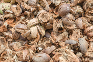 pile of coconut husk