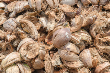 pile of coconut husk