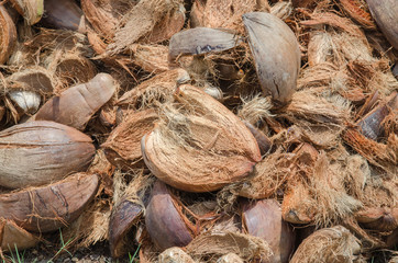 pile of coconut husk