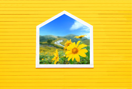 Open window with flowers outside,Window on yellow wooden wall.